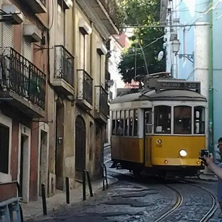 The Country In The Town Apartment