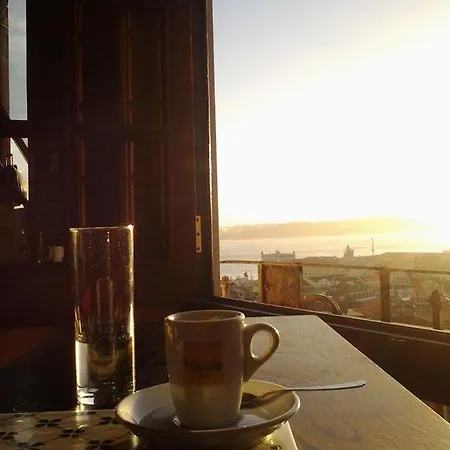 The Country In The Town *