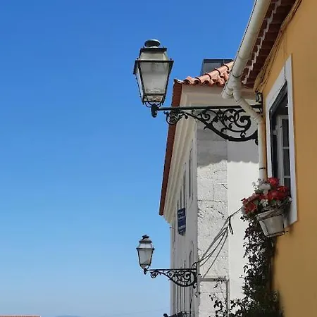 The Country In The Town *